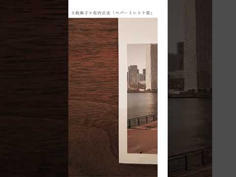 #土岐麻子PT20 初回限定盤特典の土岐麻子書き下ろしエッセイ(佐内正史撮り下ろし写真付き)チラ見せ🫣#shorts