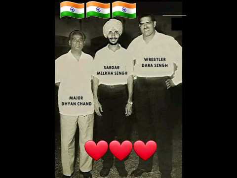Three Legends (Dil Hai Hindustani)❤️❤️❤️#status #shortvideo #viral #india#indian#respect
