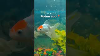 day with me 🕊️#viralvideo #minivlog #trending #shortvideo #patnadiaries #travel #couple #patna
