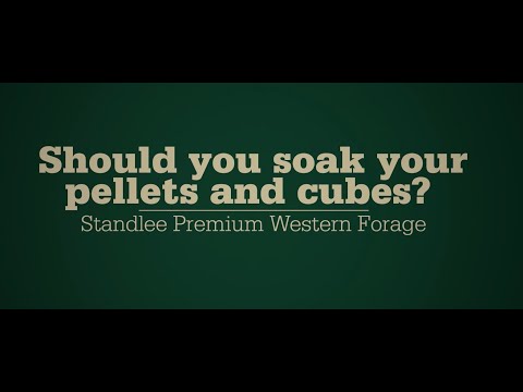 Should you soak your pellets and cubes?