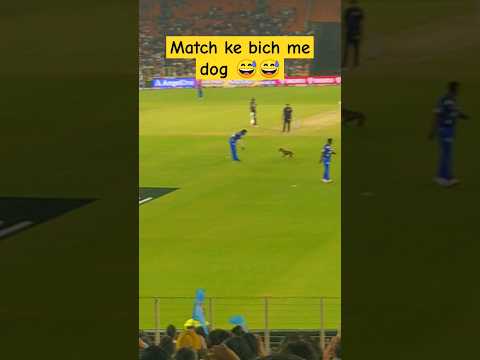 Dog in ground During MI Vs GT  match 😅😅 #live #ipl #ipl2024 #mumbaiindians #gt #ahmedabad