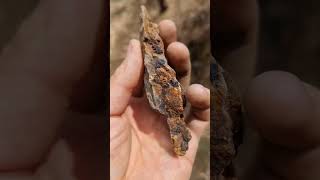 I went into this underground Gold Mine! #goldmining #mining