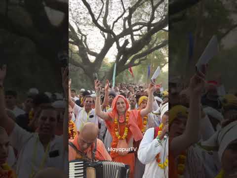 Nabadwip Mandala Parikrama day 4 ============ #iskcon #love #2025 #song #moulvibazar #kirtan