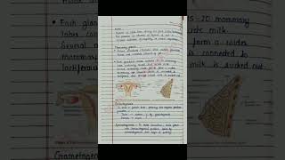 Class 12 Biology | Human reproduction handwritten notes | CBSE | JEE | NEET | NCERT | BSEB | NOTES