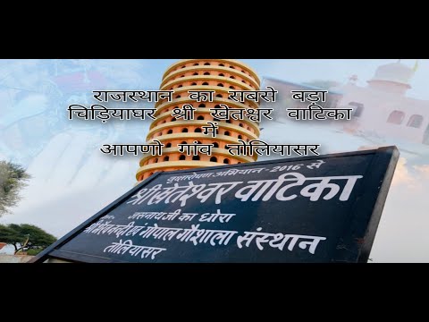 राजस्थान का सबसे बड़ा चिड़िया महल गांव तोलियासर में श्री खेतश्वर वाटिका में