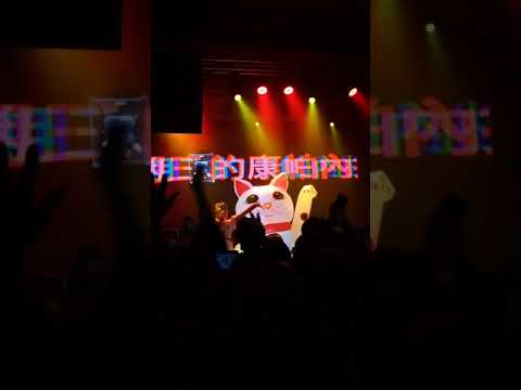 水曜日のカンパネラ - 招き猫 live ver.(星期三的康帕內拉｜台北追加公演)
