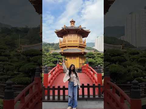 THE MOST PEACEFUL PLACE IN HONG KONG 🇭🇰🌱 CHI LIN NUNNERY #hongkong #hktravel #hk #hkguide