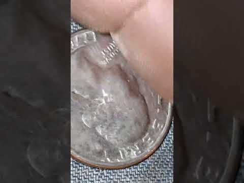 bicentennial quarter is it damage or error?