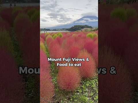 Lake Kawaguchiko, Mt Fuji views & Hoto Noodles #mtfuji #japan #japanesefood #travel