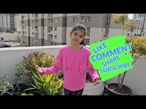 Kuhu's Terrace Garden - Vegetable seeds plantation for upcoming season