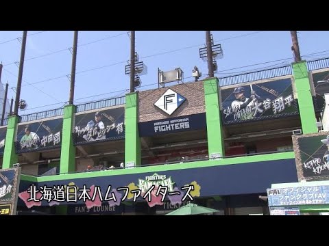 ちばで発見！魅力いっぱいの職業【職業編】通訳（株式会社北海道日本ハムファイターズ）