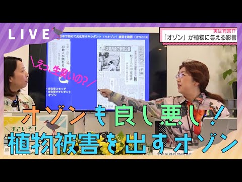 実は有害！「オゾン」が植物に与える影響【すごいぞ！生物ニュース2023】