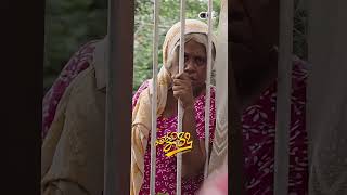 මෝඩයා😂 | Moda Tharidu Movie
