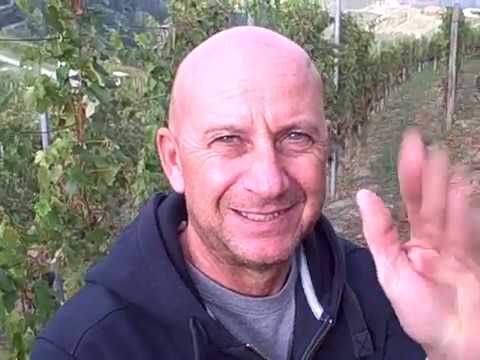 DBGitalia meets Gigi as he harvests Antica Cascina Conti di Roero's Nebbiolo Sant'Anna vyd, Oct'19