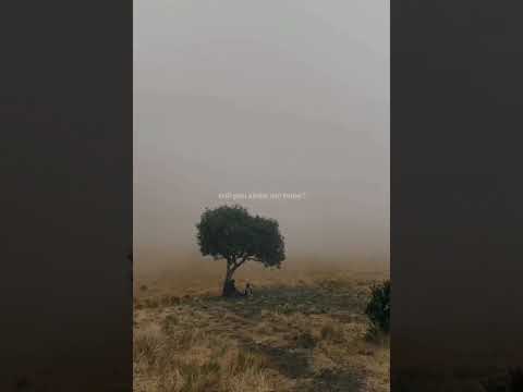 Someone to stay | feeling whether with music 🍃 #slowedandreverbsong #whether #music #someonetostay