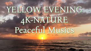 YELLOW EVENING 4K-NATURE PEACEFUL MUSIC || RELAXATION, SMOOTH, CALM ,  @SoothingRelaxStudio