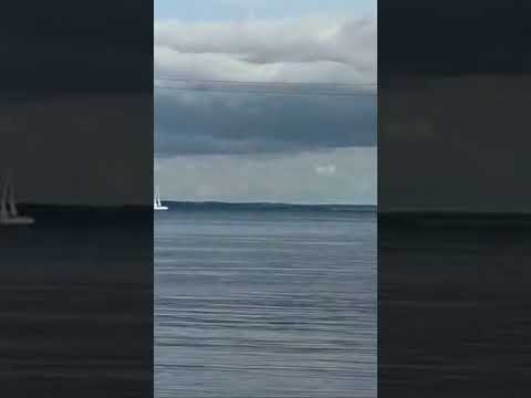#sweden 🇸🇪
