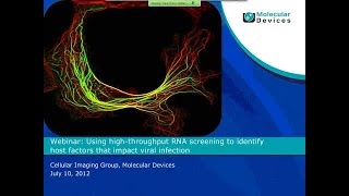 Using High-throughput RNA screening to identify host factors that impact viral infection