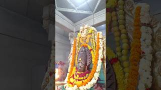 Daily Routine of My life|| Pandit life|| #dailyactivities #dailyroutine #devotionallife #temple#devi