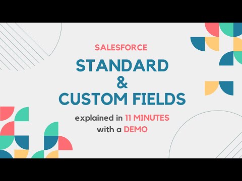 Standard and Custom Fields | Types of Fields | Field Data Types | Data Model design in Salesforce