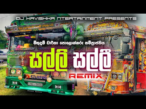 සල්ලි DJ Remix | salli Dj remix | Bus DJ Remix 2024 |new dj remix