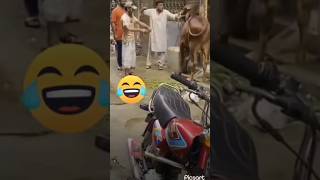 #comedy #newpoststory #comedyfilms #funny #newblogpost #comedymovies #editpost #funnycomedy