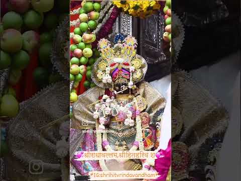 Shri Radhavallabh Mandir Vrindavan , Uttar Pradesh | #radhavallabhlal #bhakti #radhavallabhmandir