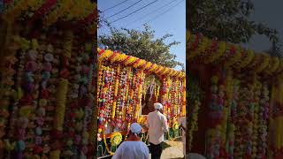 Guru Ravidas Jayanti | Pind Habri | #habri #kaithal #haryana #shortvideo #youtubeshorts #ravidas