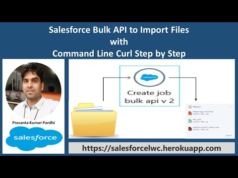 Salesforce Bulk API 2.0 to Import Files with Command Line Curl Step by Step