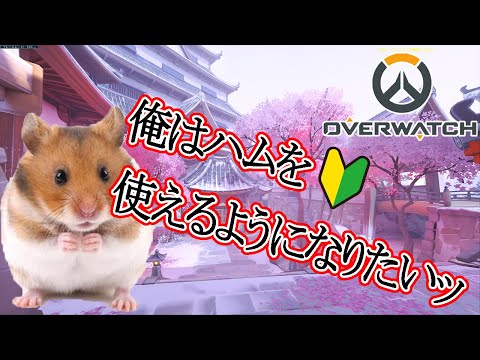 【Overwatch参加型】序盤ミュートだった（泣き）