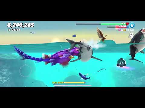 Hungry shark world