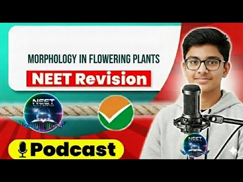 MORPHOLOGY IN FLOWER ING PLANTS in 13 Minutes | Quick Revision Podcast | Class 11 NEET