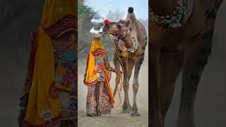 oo mara pardesi mahman gar aaviya #tranding #rajasthani #desi #marvadi_song #famous #vairal