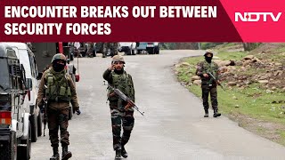 Udhampur News Today | Encounter Breaks Out Between Security Forces, Terrorists In J&K's Udhampur