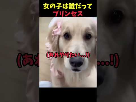 女の子は誰だってプリンセス