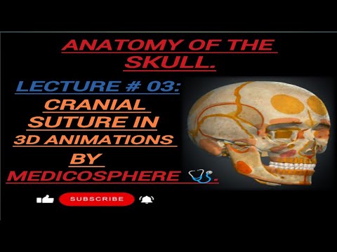 LECTURE # 03: PART 01: CRANIAL SUTURE BY MEDICOSPHERE 🩺. ANATOMY OF THE SKULL.#3d #anatomy #medical.