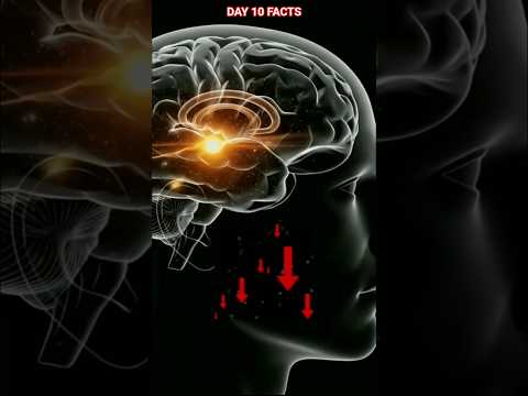 Multitasking affects your brain #shorts #amazingfacts