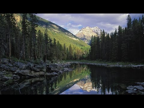 Relaxing Music, Meditation Music, Sleeping Music, Yoga Music, Spa Music, Study Music, Insomnia ☯004