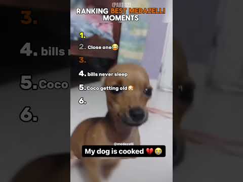 Funniest Medazelli😂 #ranking #tiktok #medazelli