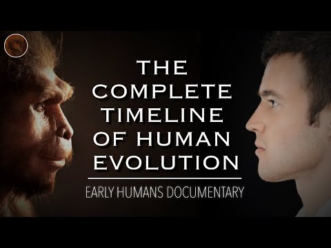 Exploring The Origins Of Humanity: A Complete Timeline of Human Evolution | Documentary