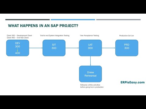 What Happens in an SAP Project?