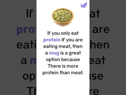 If you only eat protein If you are eating meat, then a mug is a great option because