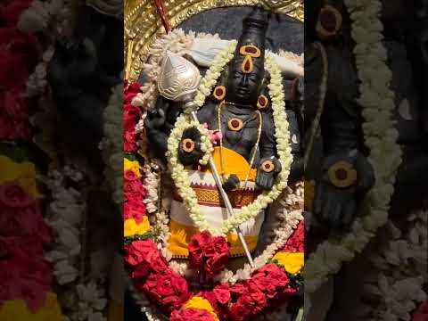 Muruga neye thunai #devotional #murugan #murugansongs #kanthankarunai #devotional #thaipusam #god