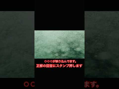 なかなか釣れないので海を覗いてみたら、、#海 #海の中 #海洋 #海洋生物 #釣り #釣り餌 #gopro #10 #ocean #oceanview #shorts