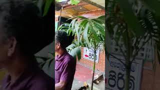 Resturent එකක් කියලාද හිතුවෙ ...නෑ මේ ඇඹිලිපිටියෙ පොදු වැසිකිළිය.... #ebilipitiya_foce_to_face