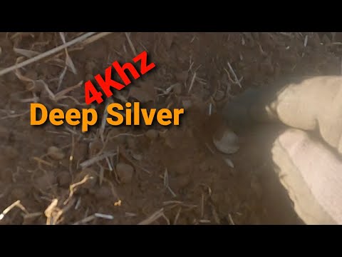 Equinox 800 park 2 4Khz Deep Silver #5