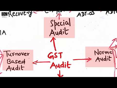GST Audit - Types
