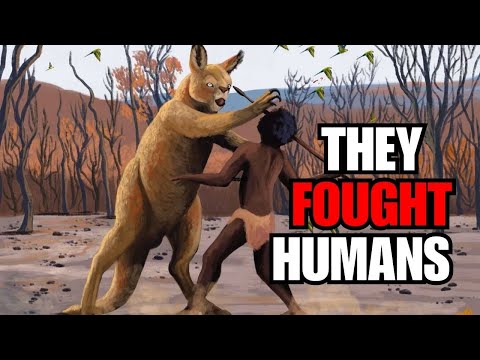 This Wasn't Your Average Australian Kangaroo...