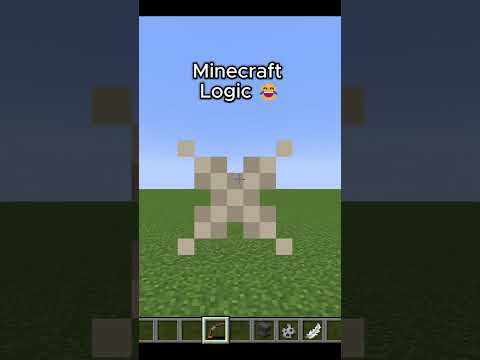 Why minecraft? #minecraft #memes #logic #shorts