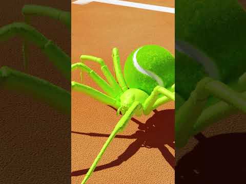Court Spider 🎾🕷️ #digitalart #tenniscourt #3danimation